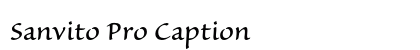 Sanvito Pro Caption preview