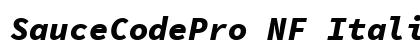 SauceCodePro NF Italic Preview
