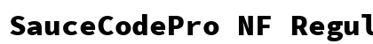 SauceCodePro NF Regular Preview