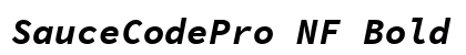 SauceCodePro NF Bold Italic preview
