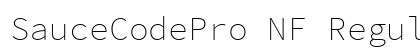 SauceCodePro NF Regular Preview