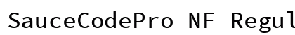 SauceCodePro NF Regular Preview