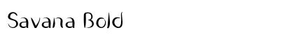 Savana Bold preview