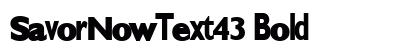 SavorNowText43 Bold preview