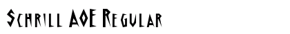 Schrill AOE Regular preview