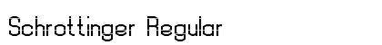 Schrottinger Regular preview