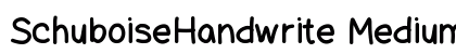 SchuboiseHandwrite Medium preview