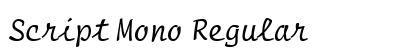 Script Mono Regular preview