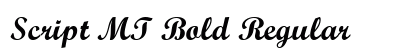 Script MT Bold Regular preview