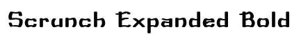 Scrunch Expanded Bold preview