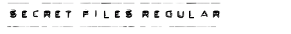 Secret Files Regular preview