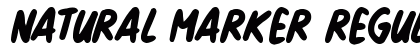 Natural Marker Regular preview