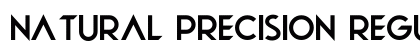 Natural Precision Regular preview