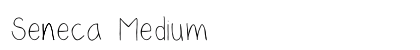 Seneca Medium preview