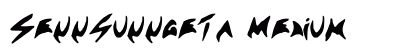 Sennsunngeta Medium preview