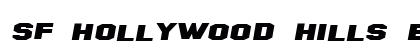 SF Hollywood Hills Extended Italic preview
