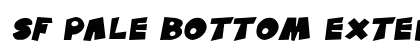 SF Pale Bottom Extended Oblique preview