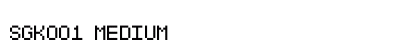 SGK001 Medium preview