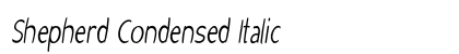 Shepherd Condensed Italic Preview