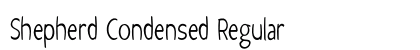 Shepherd Condensed Regular Preview