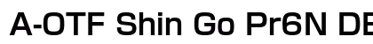 A-OTF Shin Go Pr6N DB preview