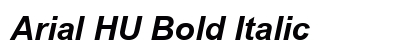 Arial HU Bold Italic Font Arial HU Bold Italic Font Preview