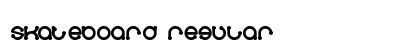 skateboard Regular preview