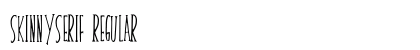 skinnyserif Regular preview