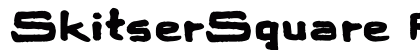 SkitserSquare Regular preview