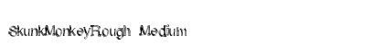 SkunkMonkeyRough Medium preview