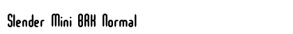 Slender Mini BRK Normal preview
