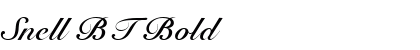 Snell BT Bold Preview