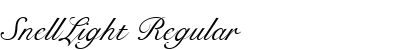 SnellLight Regular preview