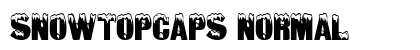 SnowtopCaps normal preview