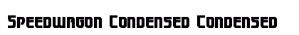 Speedwagon Condensed Condensed preview