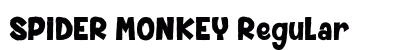 SPIDER MONKEY Regular preview