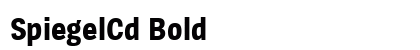 SpiegelCd Bold preview