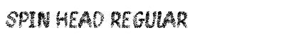 Spin Head Regular preview