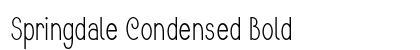 Springdale Condensed Bold Preview