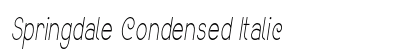 Springdale Condensed Italic Preview