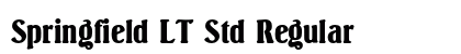 Springfield LT Std Regular preview