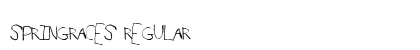 SpringRaces Regular preview