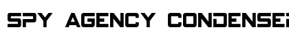 Spy Agency Condensed Condensed preview