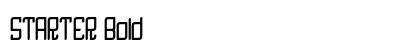 STARTER Bold preview
