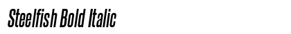 Steelfish Bold Italic Preview