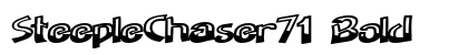 SteepleChaser71 Bold preview