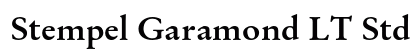 Stempel Garamond LT Std Bold preview