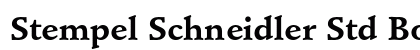 Stempel Schneidler Std Bold preview