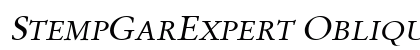 StempGarExpert Oblique preview