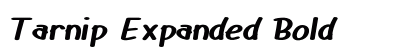 Tarnip Expanded Bold preview